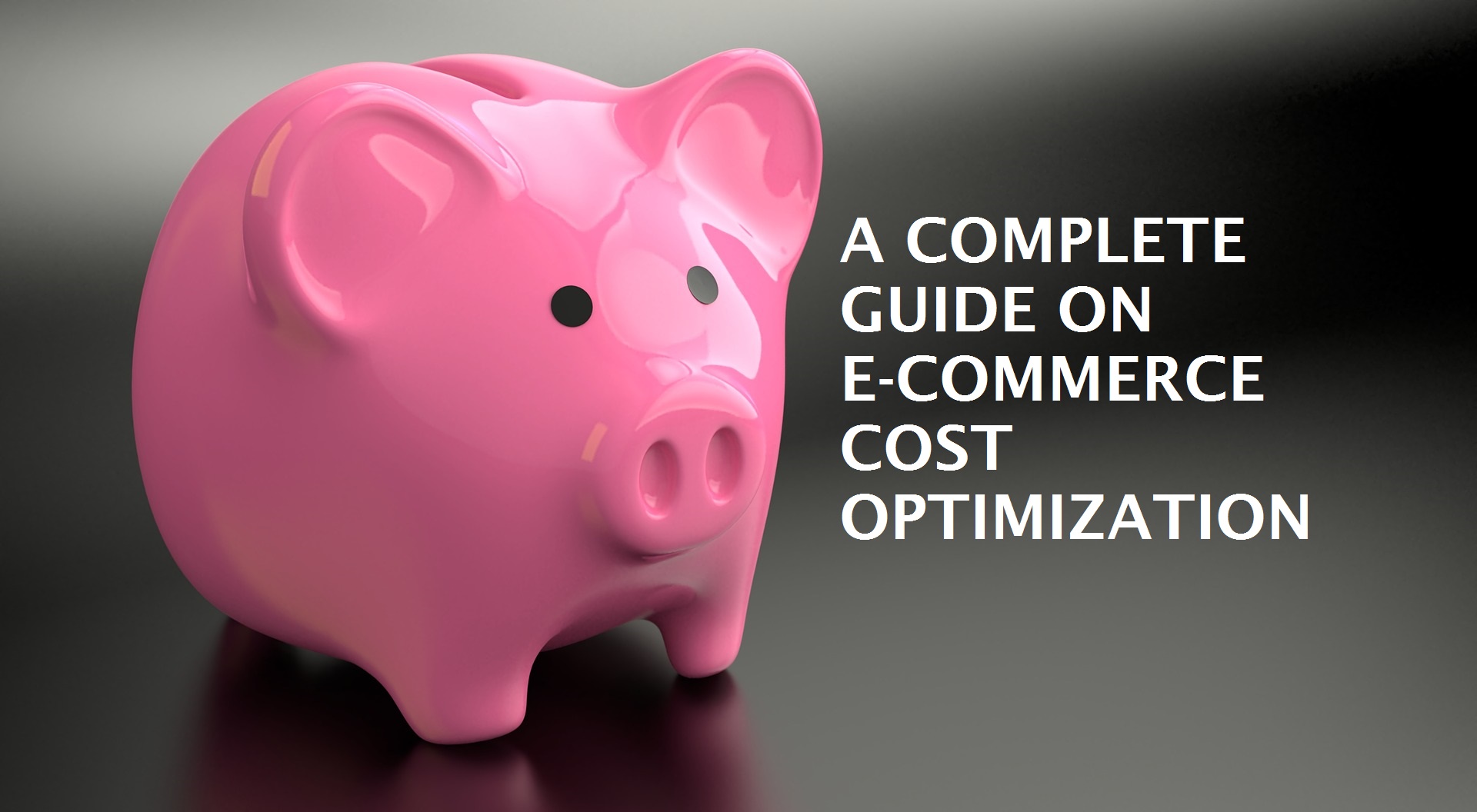 e-commerce cost optimization