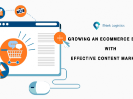 growing an ecommerce business with effective content marketing